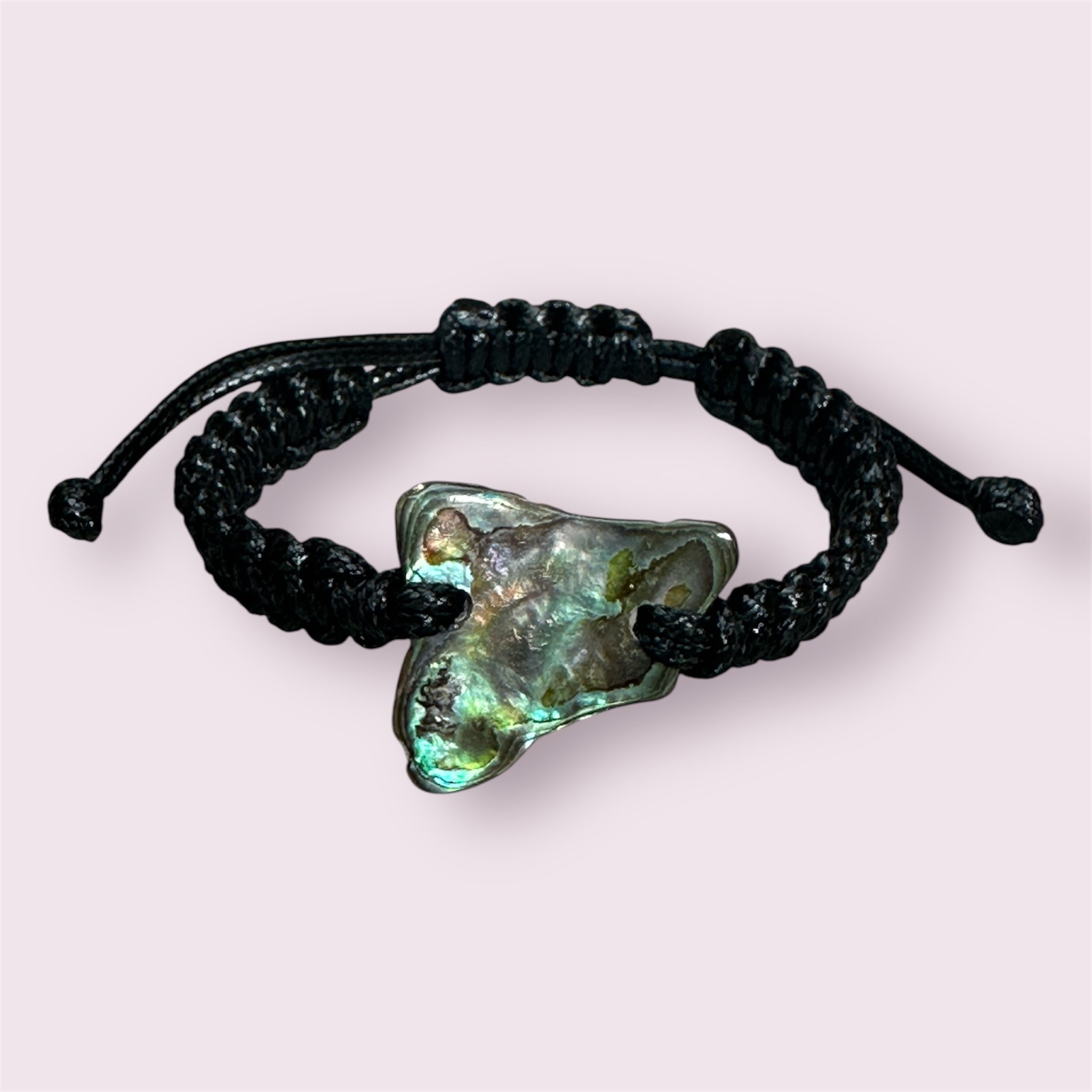 Iridescent Paua shell bracelet with black knotted cord, photographed from a front angle.
