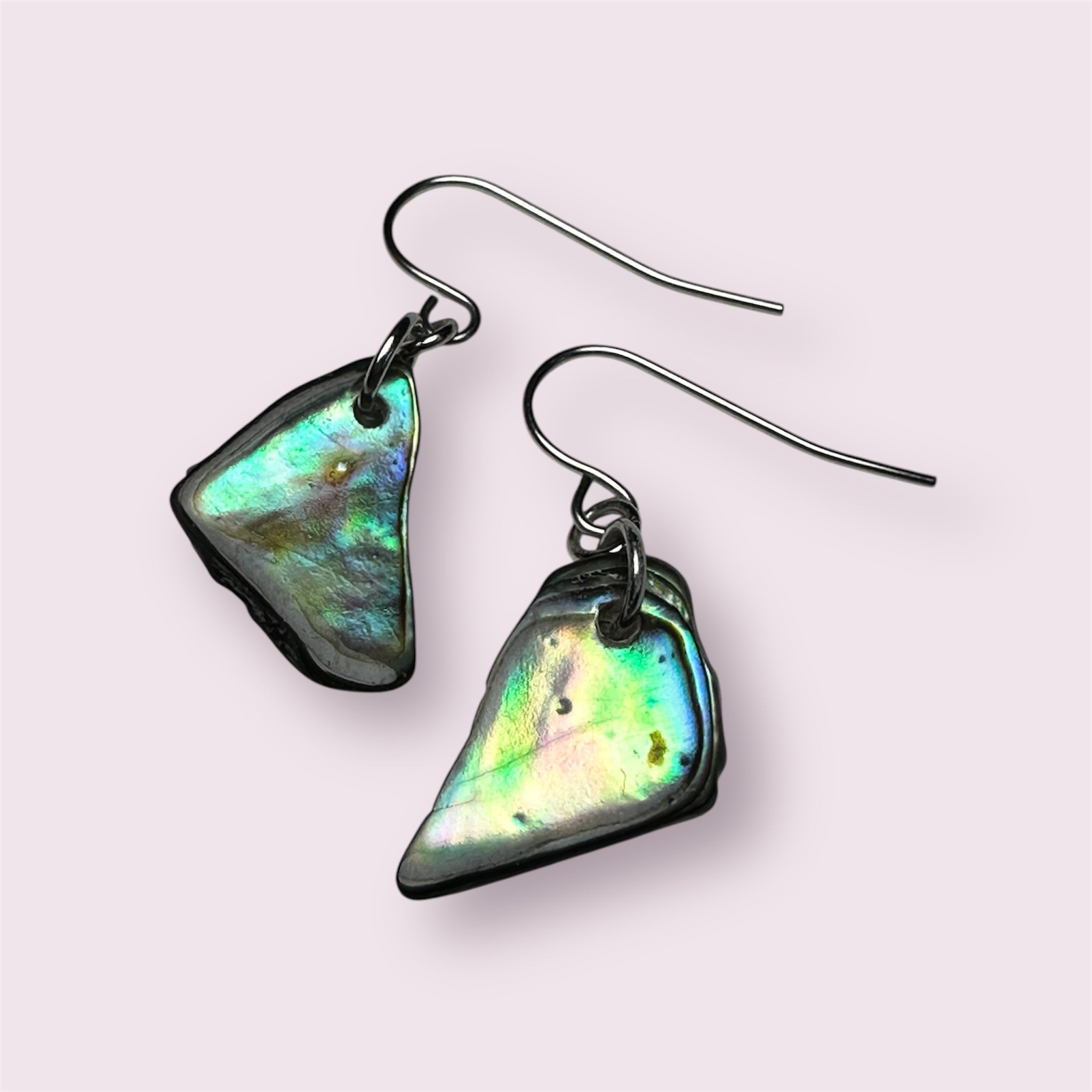 Iridescent Paua shell earrings set in stainless steel hooks